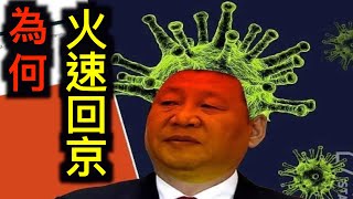 习近平为何火速回京?是否因感染中共病毒?