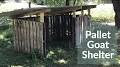 Video for Pallet goat shelter plans