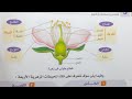 درس التكاثر فى النباتات الزهرية أحياء تالته ثانوى شرح تركيب الزهرة مع منى تمراز