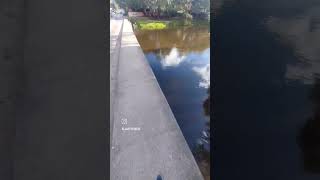 Los Armos Córdoba  Argentina.  Rio Anizacate