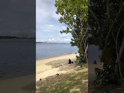 リラックスできるビーチ #asmr #素晴らしい #チャンネル登録 #再生回数100万回