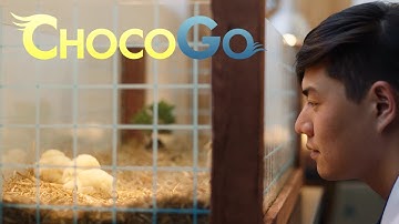 Introducing ChocoGo by FINAL FANTASY XIV