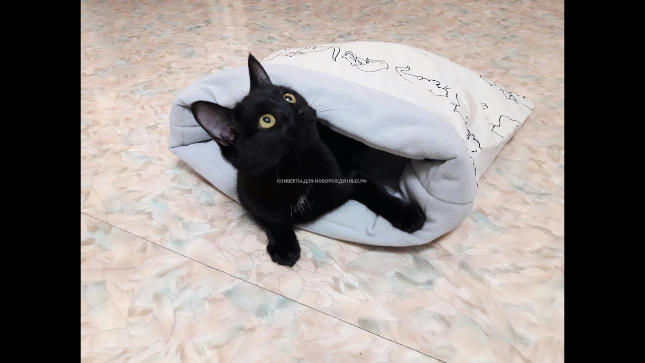 Дом нора для кошек. Мешок - Домик нора для кошки, небольшой собаки и ...