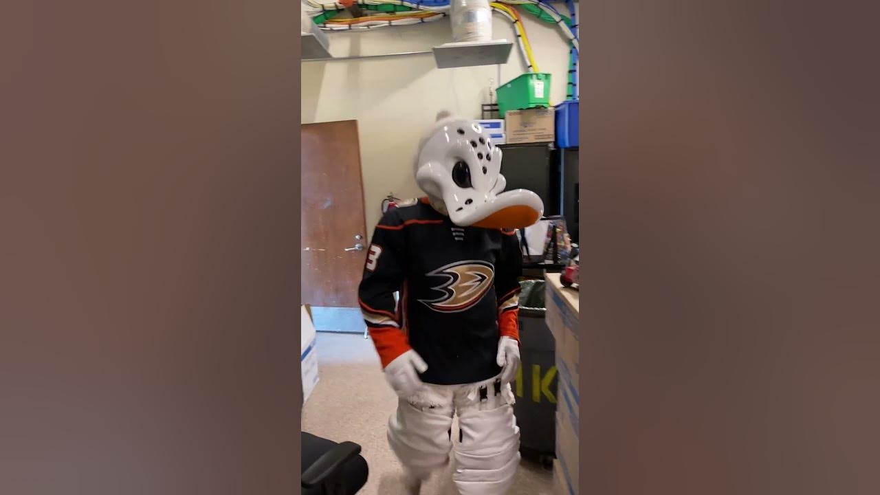 Wild Wing Anaheim Ducks Mascot Costume Duck