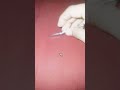 dei uma chinelada em uma mosca e ela tá viva 😮 #shorts
