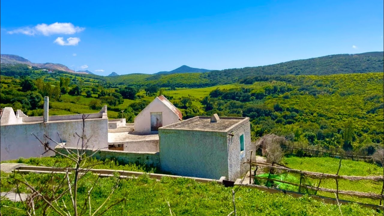 دار بلدية ودار بالكرابة وغرسة مفججة والماء موجود مساحة هكتارو3078متر نواحي القصر 0703640826طنجة