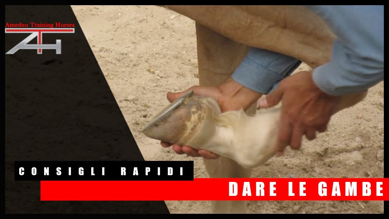 I CONSIGLI RAPIDI - Dare le gambe