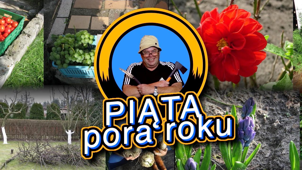 PIĄTA PORA ROKU cz.1 YouTube