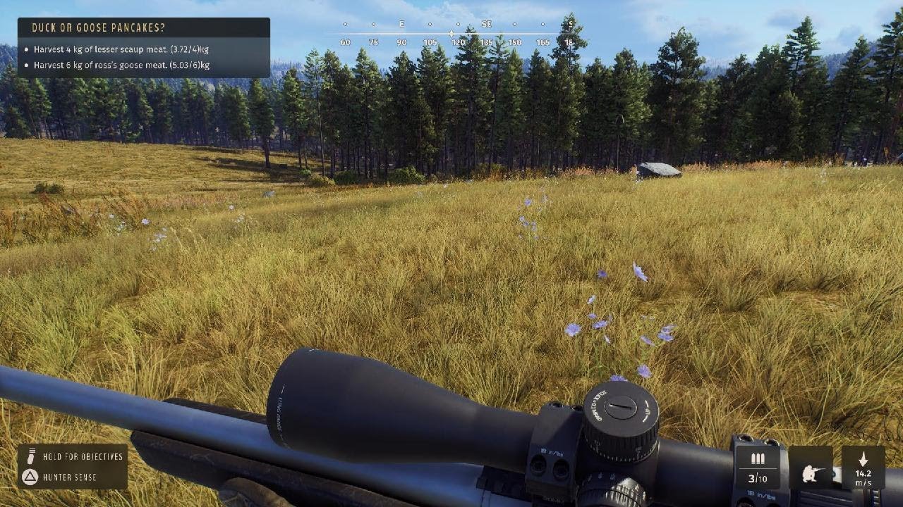 Way of the Hunter - Remington 700 has awesome accuracy 😍