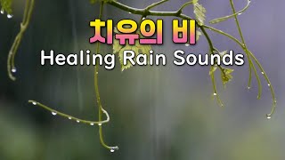 Relaxing Rain Sound in the Forest | The sound of rain for sleep, relaxation, and meditation