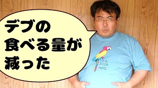 ダイエットしてたら食べる量が減っても苦じゃなくなってきた話