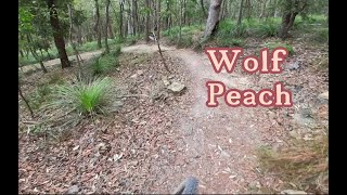 Bayview Conservation MTB Wolf Peach