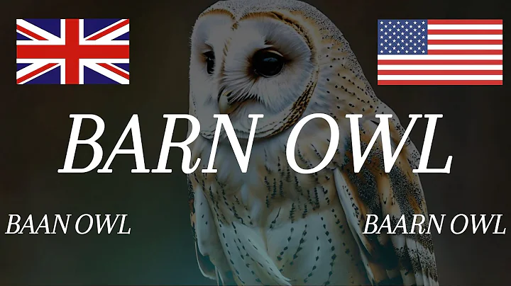Learn How to Pronounce 'Barn Owl'! Correctly (Bird Pronunciation)