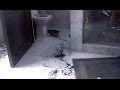 Pistorius Trial: Graphic pictures scene