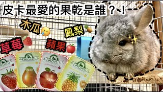 【皓奇寵物】龍貓皮卡最愛MOMI果乾裡的誰?! 不專業開箱+試吃 by 皓奇寵物 1,313 views 3 years ago 4 minutes, 47 seconds