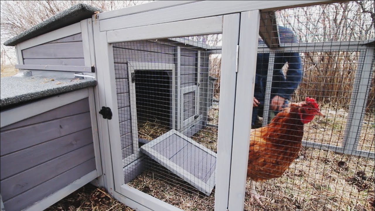 Super Fancy Little Chicken Coop The Kids Put Together (Aivituvin Coop