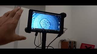 Review Microscope | Euromex: Eco Blue Series with Moticam BTU Camera | Cakrawala Mikroskop