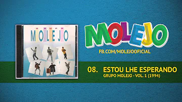 Estou-lhe aguardando ou te aguardando?