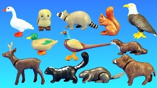 Playmobil Forest Wild Animals Building Toy Sets Collection For Kids