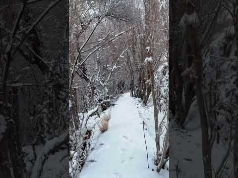Snowy path northern area #travel #nature #love #beautiful #snow #mountains