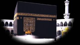 سورة نوح الشيخ خالد عبد الكافي