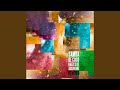 Zé do Candeeiro (DJ Incidental Remix)