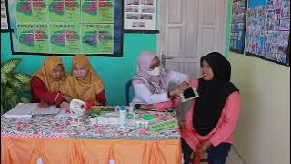 Simulasi Pelayanan Kesehatan Pada Ibu Hamil di Posyandu Aktif