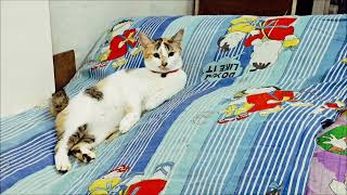 Cheersss.. Mei Chilling Time.. So Cuteeee