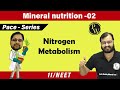 Mineral Nutrition - 02 | Nitrogen Metabolism | Class 11 | Pace Series