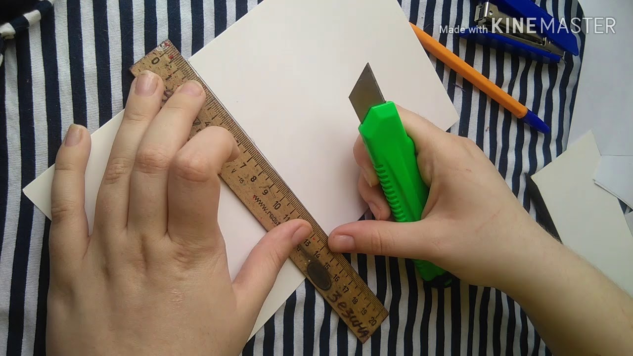 Кошка Соня получает паспорт/др кошки/ как сделать паспорт кошке - YouTube