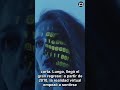 De los 80 a Hoy: La Evolución de la Realidad Virtual