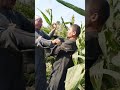 عيسي الفلاح وعلي وسط الدرة