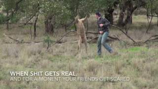 Brave Man Punches Kangaroo In The Face - Real Hero Rescue Dog- Must See