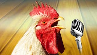 Chicken Song part 1 (original) | The hens’ dancing song | 2023 #1