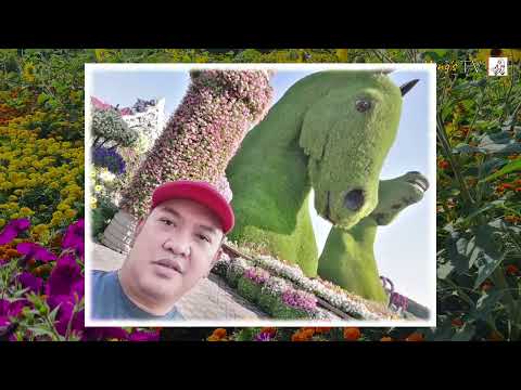 Vlog #21 Dubai Miracle Garden Slideshow