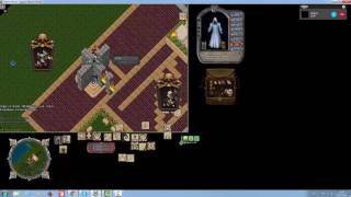 Ultima online nebula uo The expendables vol.1