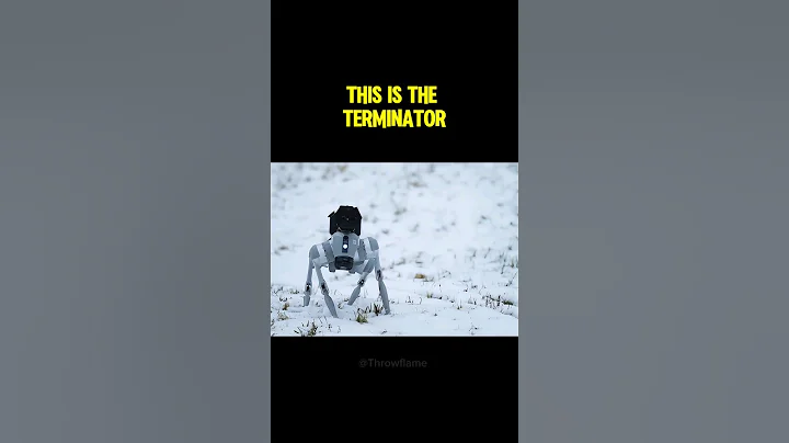 Flamethrower Equipped Robot Dog?