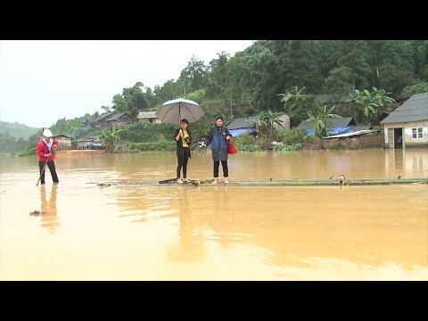 Video Tin Thời Sự Hôm Nay (6h30 - 17/8/2017) : Hơn 150 hộ... - youtube