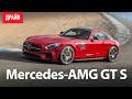 2014 Mercedes-AMG GT S by Pavel Karin (Eng Subs)