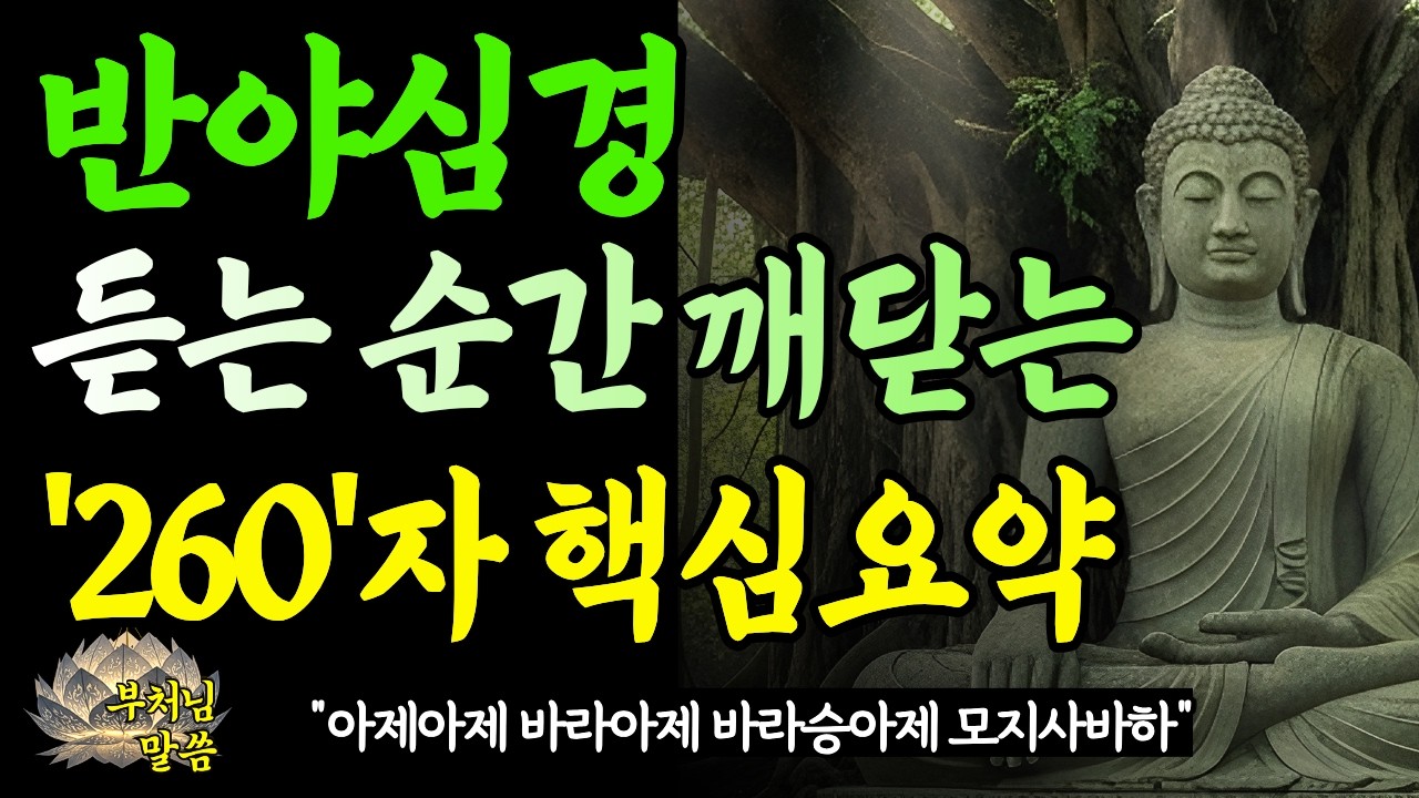 반야심경 260자에서 답을 찾으세요/ 왜 자꾸만 마음이 허할까? 나는 왜 이렇게 사는 걸까?부처님의 지혜가 말해주는 것 / 부처님 말씀 /오디오북