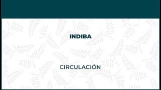 Indiba Circulación. Radiofrecuencia - FisioClinics Logroño, La Rioja by FisioClinics Logroño 1,034 views 4 years ago 1 minute, 32 seconds