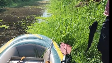 Câu cá lóc. Tiếp tục lên hugo U Minh Thượng.