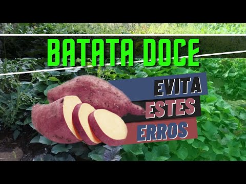 Video: Bataatide Kasvatamine