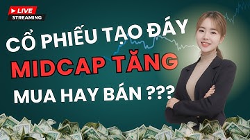 Midcap Bùng Nổ Trở Lại – Mua Sớm Ăn Lớn Hay Chờ Điều Chỉnh?