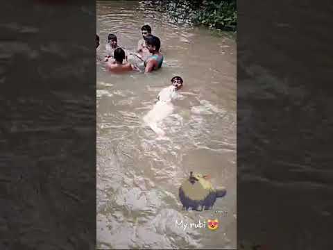 Ruby swimming ##cute video 🥰🏊🐕