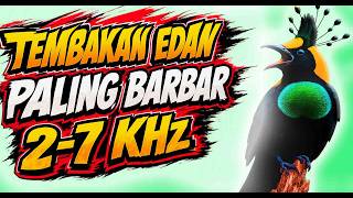 💥 100%  Emosi! 😍 Masteran Kasaran Terbaru Murai Batu, Kacer, Cendet & Cucak Ijo  Gacor Tanpa Ampun!