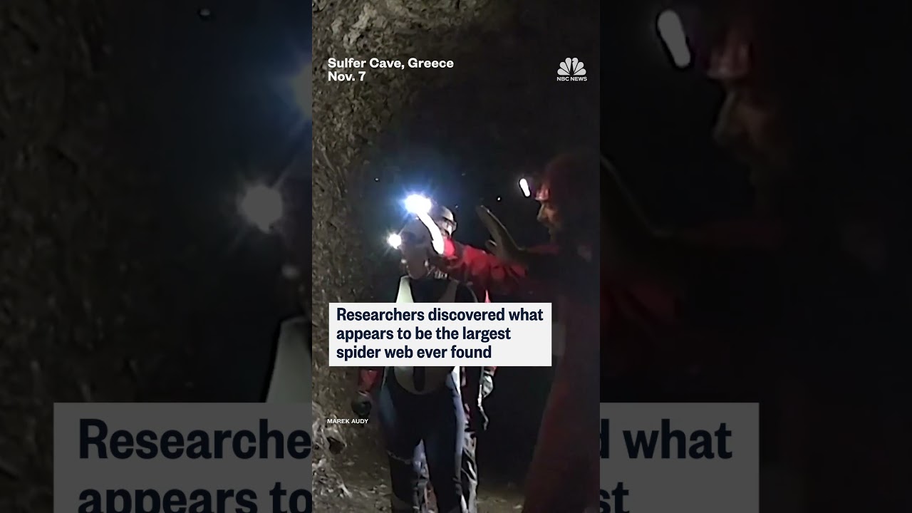 Researchers discovered what appears to be the largest spider web ever found