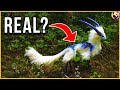 Strange Animals That Look Like LIES But Are REAL [Top 10]