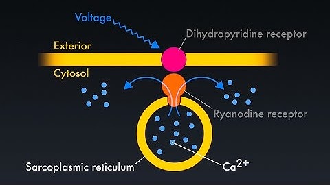 Induction and Inhalation Agents