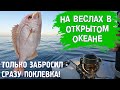 На вёслах в открытом океане! Только закинул - сразу поклевка!